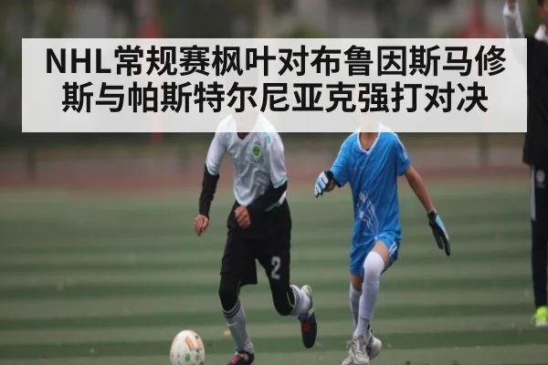NHL常规赛枫叶对布鲁因斯马修斯与帕斯特尔尼亚克强打对决